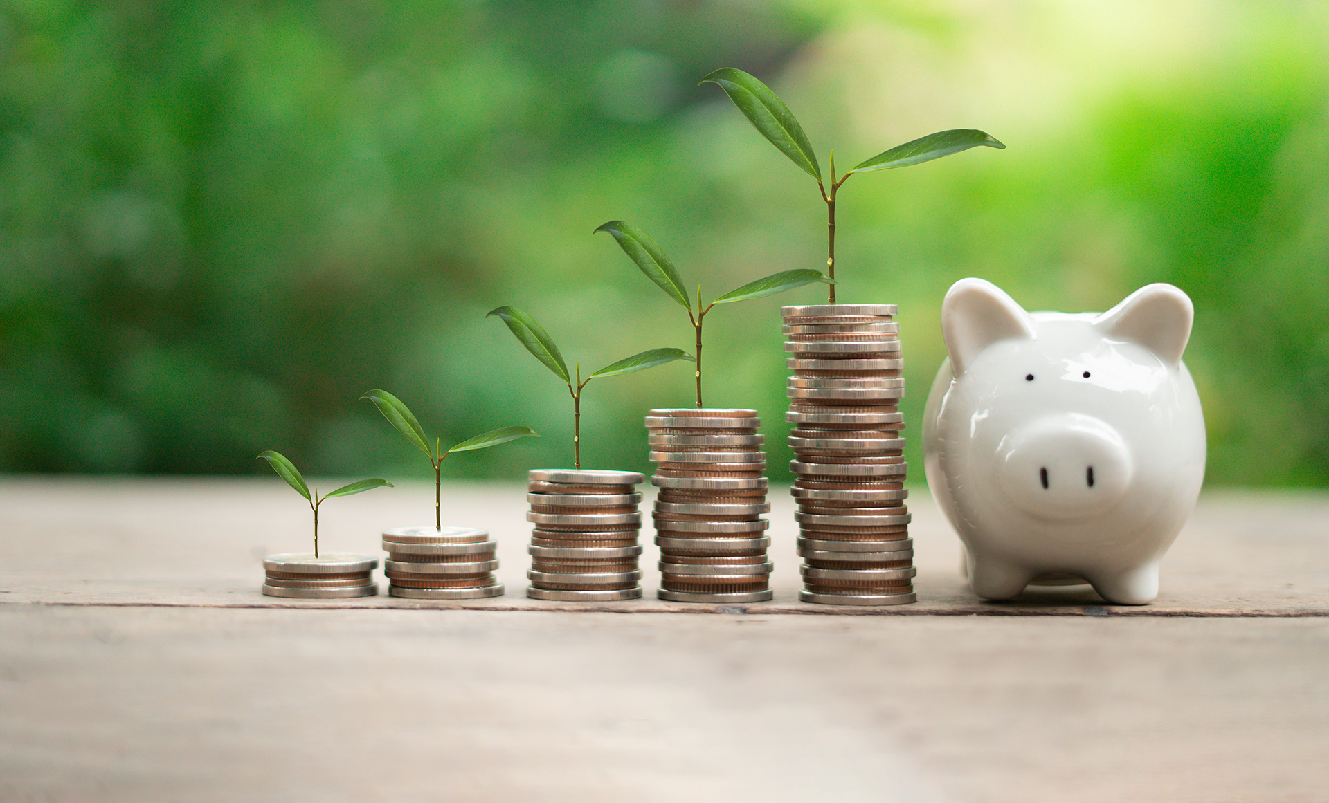 coins stacked with plants growing out of the top next to a piggy bank